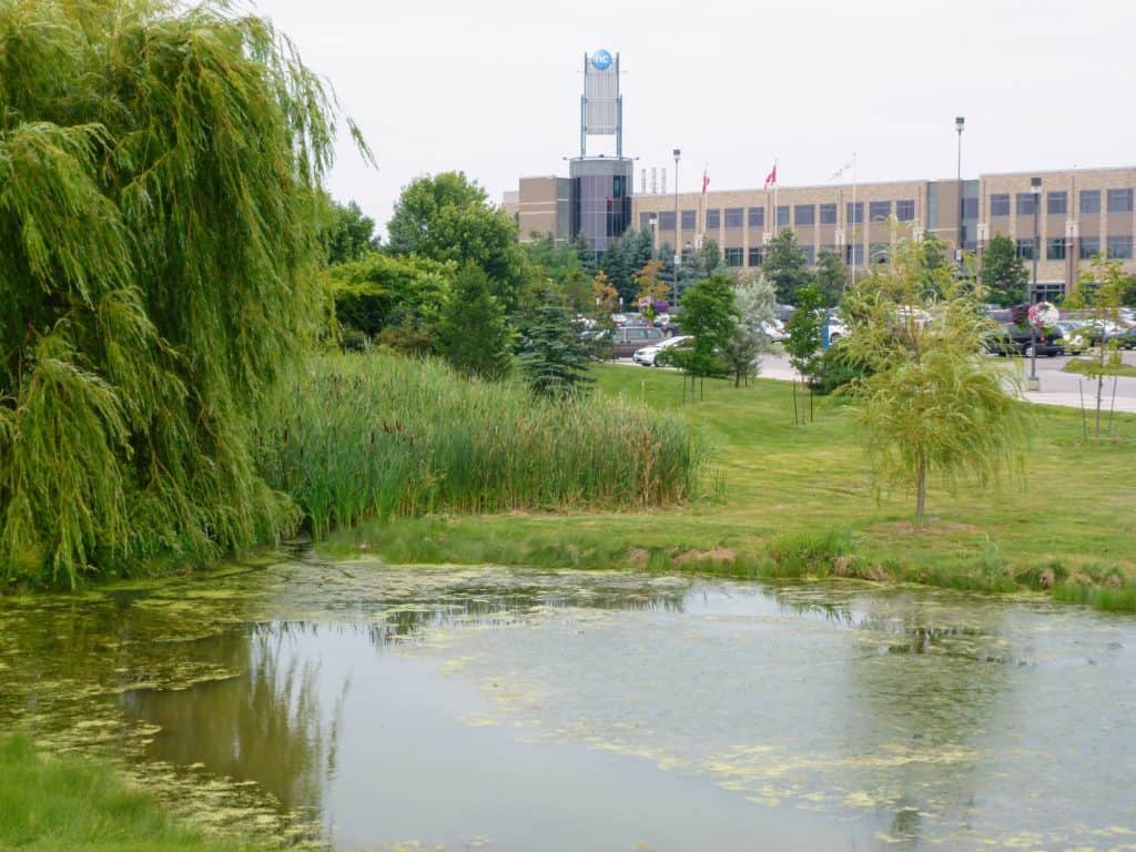Niagara College Glendale OMC Landscape Architecture