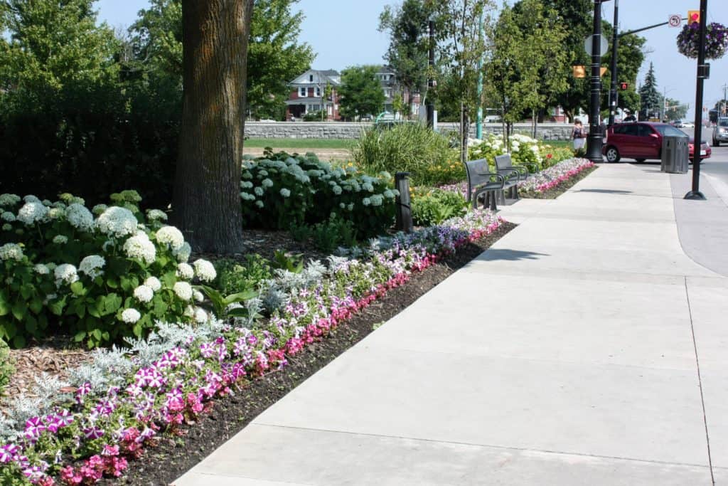 Victoria Avenue Streetscape - OMC Landscape Architecture